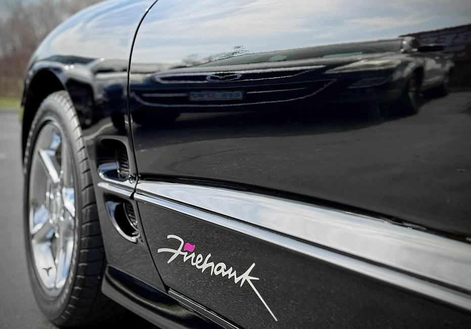 hydrosilex firehawk door